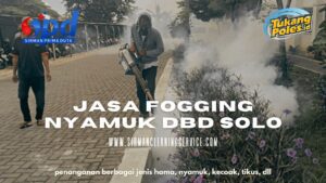 jasa fogging nyamuk dbd solo